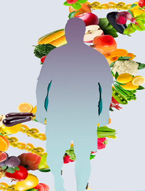 Nutrición y autodestrucción - Quilo de Ciencia podcast - Cienciaes.com
