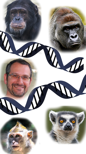 adn primates - Hablando con Científicos podcast - Cienciaes.com