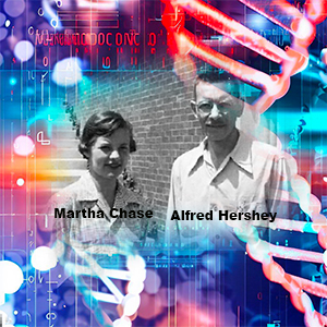 El experimento de Hershey y Chase - Quilo de Ciencia podcast - Cienciaes.com