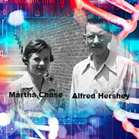 El experimento de Hershey y Chase - Quilo de Ciencia podcast - Cienciaes.com
