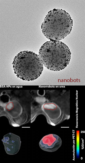 Nanobots contra el cáncer.- Hablando con científicos podcast - CienciaEs.com