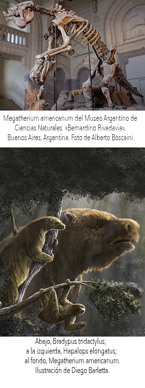 Perezosos gigantes - Hablando con científicos podcast - Cienciaes.com