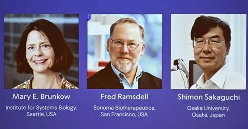 Premio Nobel de Medicina 2025- Hablando con Científicos podcast - Cienciaes.com