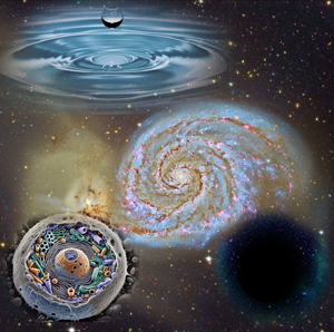 Fondo y forma - Quilo de Ciencia podcast - Cienciaes.com