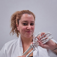 Ligamentos de la muñeca - Hablando con Científicos - Cienciaes.com