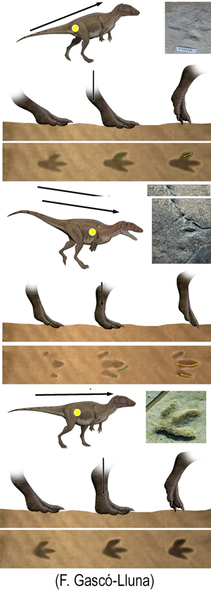 Dinosaurios a lla carrera - Hablando con Científicos podcast  - Cienciaes.com