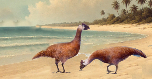 Silvionitidos -Zoo de Fósiles podcast - Cienciaes.com