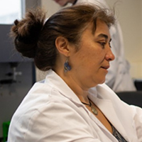 Células madre cancerosas- Hablando con Científicos podcast - Cienciaes.com