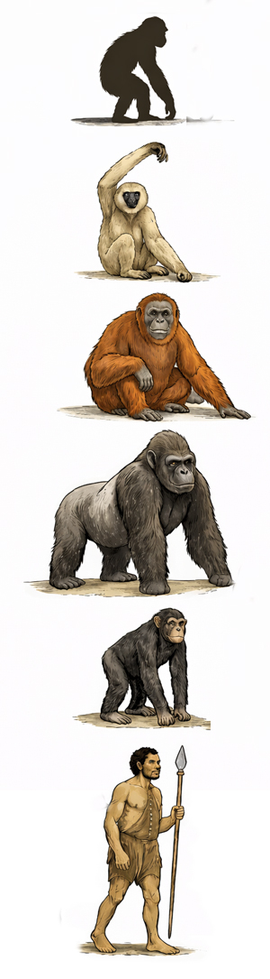 Origen de hominoideos - Hablando con Científicos podcast - Cienciaes.com