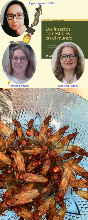 Insectos comestibles - Hablando con Científicos podcast - Cienciaes.com