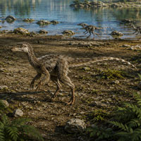 Compsognatus - Zoo de Fósiles podcast  - Cienciaes.com