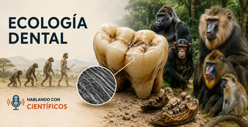 Ecología dental - Hablando con Científicos - Cienciaes.com