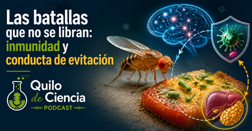 Batallas que no se libran - Quilo de Ciencia podcast - Cienciaes.com