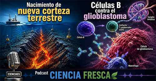 Corteza nueva y glioblastoma - Ciencia Fresca podcast - Cienciaes.com