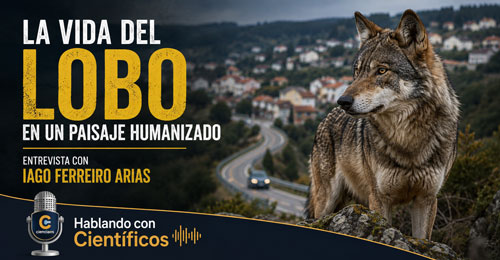 Lobos - Hablando con Científicos podcast - Cienciaes.com